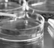 Slider image (7) Bioscience Institute Middle East